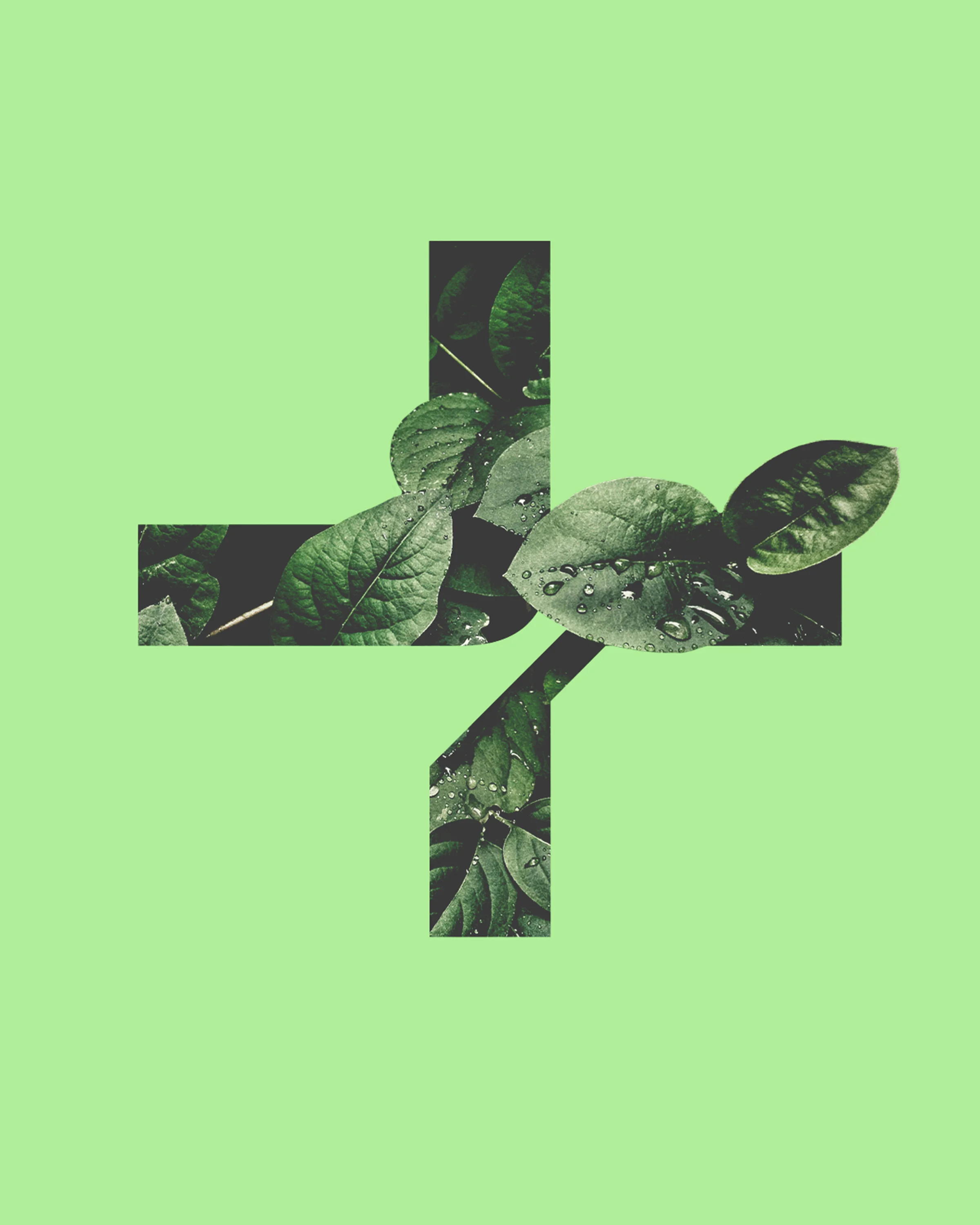 Logo de Bosques urbanos