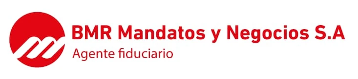 BMR Mandatos y Negocios S.A
